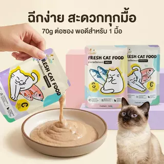 🔥ราคาพิเศษ! (ยกโหล) Ketzuzu อาหารเปียกแมว อาหารแมว อาหารเปียกแมวแบบซอง เนื้อบดละเอียด 70g x 12