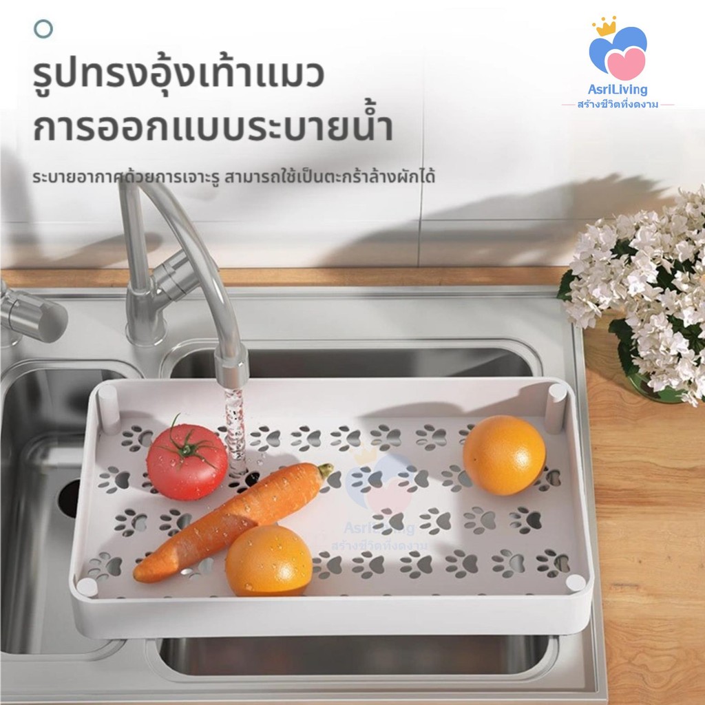 รูปภาพ 5