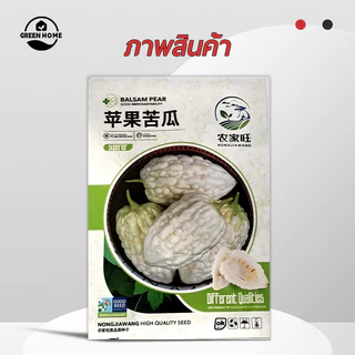 พันธุ์มะระขาวแอปเปิ้ล 5เมล็ด ลูกอวบใหญ่ หวานกรอบ【ซื้อ 5 แถม 5 ฟรี】