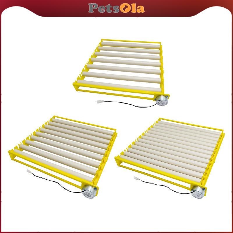 PETSOLA ถาดฟักไข่พลาสติกที่หมุนไข่อัตโนมัติสําหรับไก่เป็ดนกพิราบ 220V