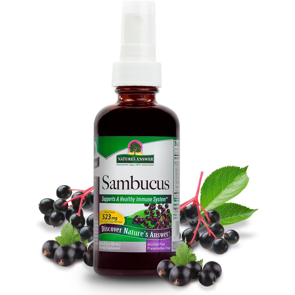 Nature's Answer Alcohol-Free Sambucus Extract Spray, 2-Ounces | Immune System Support | Vegan, Glute