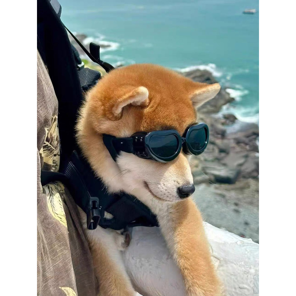 🔥 แว่นตาสุนัข 🔥 การขาย แว่นตากันแดด แฟชั่นสุดเท่ห์ สุนัขแมว Retro Aviator Goggles ขนาดเล็กโปร่งใส Tr