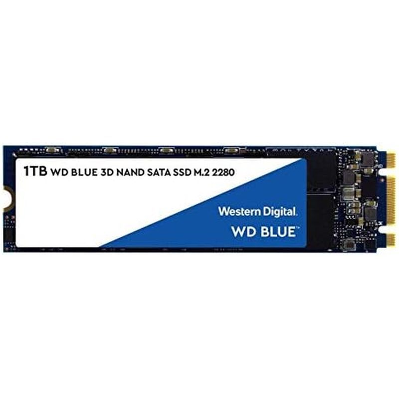Western Digital 2TB WD Blue 3D NAND Interior PC SSD - SATA III 6 Gb/s, M.2 2280, สูงสุด 560 MB/s - W