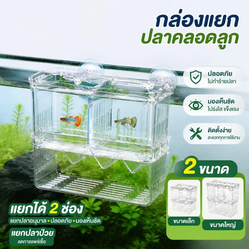 กล่องแยกปลา อะคริลิกใส 2 ช่อง ตู้กักกันปลา