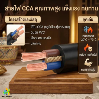 สายไฟกลมสีดำ RVV 2 แกน ขนาด 2.5/4/6 มม. SQ สำหรับงานกำลังสูงโดยเฉพาะ ทนความเย็นจัด