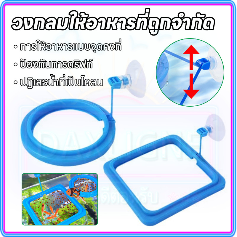 🐟จัดส่งจากไทย🐟 วงแหวนให้อาหารปลาลอยน้ำ ป้องกันอาหารกระจาย ปรับระดับน้ำอัตโนมัติ พร้อมที่ดูดติดตู้ กันอาหารไหลเข้าตัวกรอง