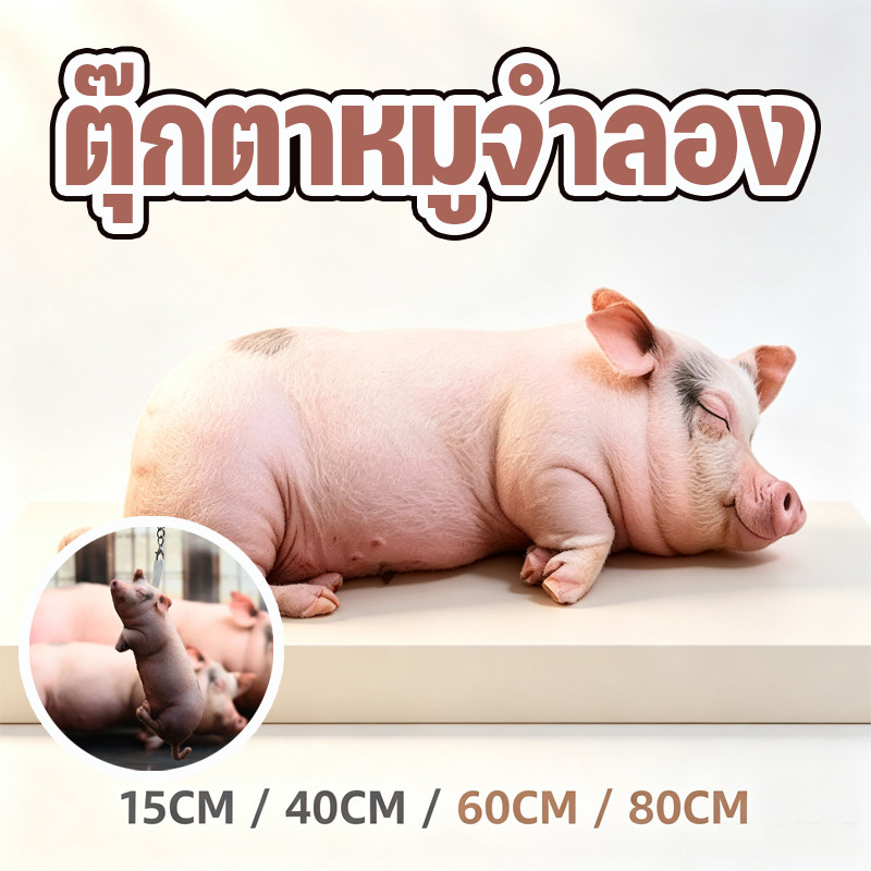 COD ตุ๊กตาหมูนอนคว่ำจำลอง 15/40/60/80CM ตุ๊กตานอนด้วย ตุ๊กตาแกล้งเล่น เหมาะสำหรับให้เป็นของขวัญ