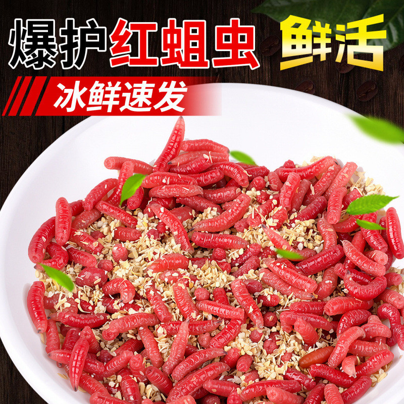 2026 สินค้าใหม่สดสีแดง Maggot Worm Live เหยื่อหนอนสีแดงกลางแจ้งตกปลาป่า Crucian ปลาคาร์พเหยื่อ Strea