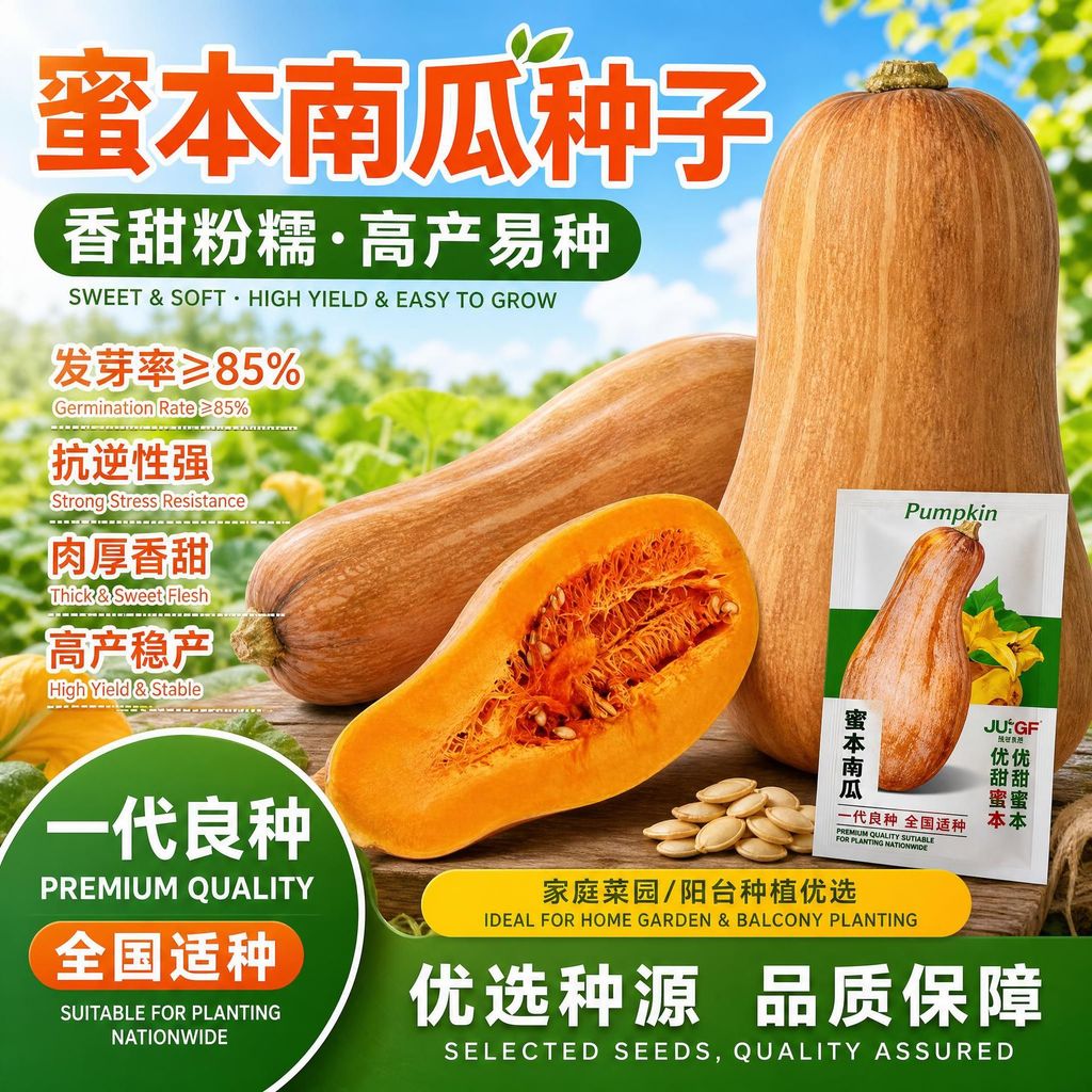 现货热卖香甜蜜本南瓜种子高产老南瓜种籽家庭菜园阳台庭院易种蔬菜种子Sweet and delicious native pumpkin seeds, high-yield oldvariety pum
