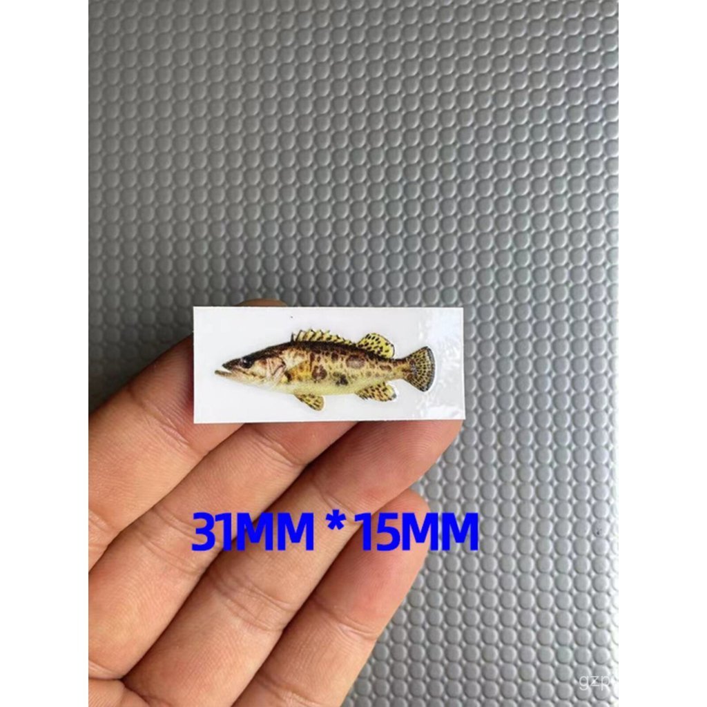 Lure Pole Sticker LOG O Model Label Sticker สติกเกอร์ตกแต่งจุดโอนเหงื่อปาก Blackfish รูปภาพปลารูปแบบ