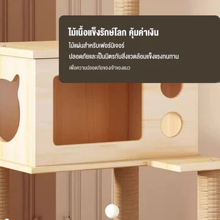 คอนโดแมวไม้ ที่ปีนแมว เหมาะสำหรับเลี้ยงน้องแมว4-6ตัว cat tree tower คอนโดแมว คอนโดแมวราคาถูกสูง215CM ไม้สวยไร้เหลี่ยมคม