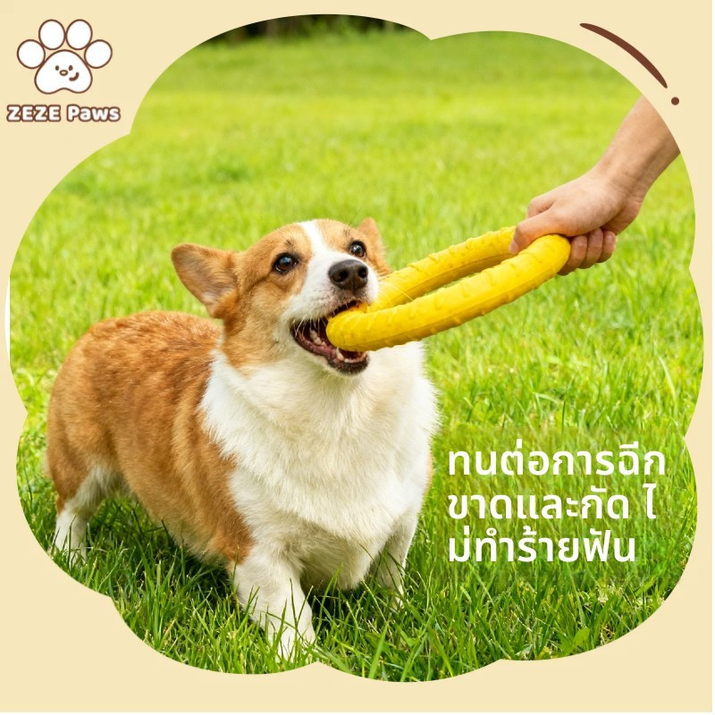 ZEZE Paws ของเล่นหมา จานร่อน ลูกบอลหมา ทนทาน สําหรับฝึกสัตว์เลี้ยง ไม่ทำร้ายฟัน
