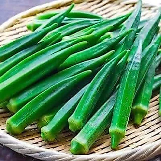 เมล็ดกระเจี๊ยบเขียวญี่ปุ่น 40 เมล็ด กระเจี๊ยบเขียวโอซาก้า เมล็ดพันธุ์แท้