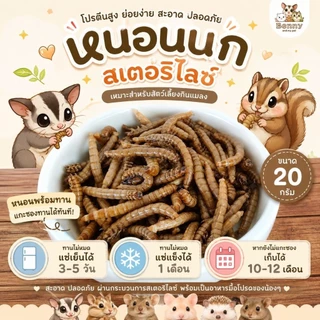 หนอนนก และ หนอนยักษ์ สเตอริไลซ์ขนาด 20 กรัม สำหรับ ชูการ์ กระรอก บุชเบบี้ เม่นแคระ นก เบี้ยดดราก้อน