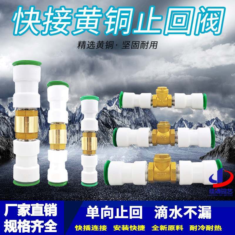 Ppr Quick Connect Check Valve PE Check Valve 20 Quick Plug 25 Quick Connector ไม่มี Hot Melt Check V