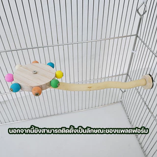 ของเล่นนกแก้ว ของเล่นนก ของตกแต่งกรง พร้อมลูกบอลหมุนได้ ของเล่นฝึกนก