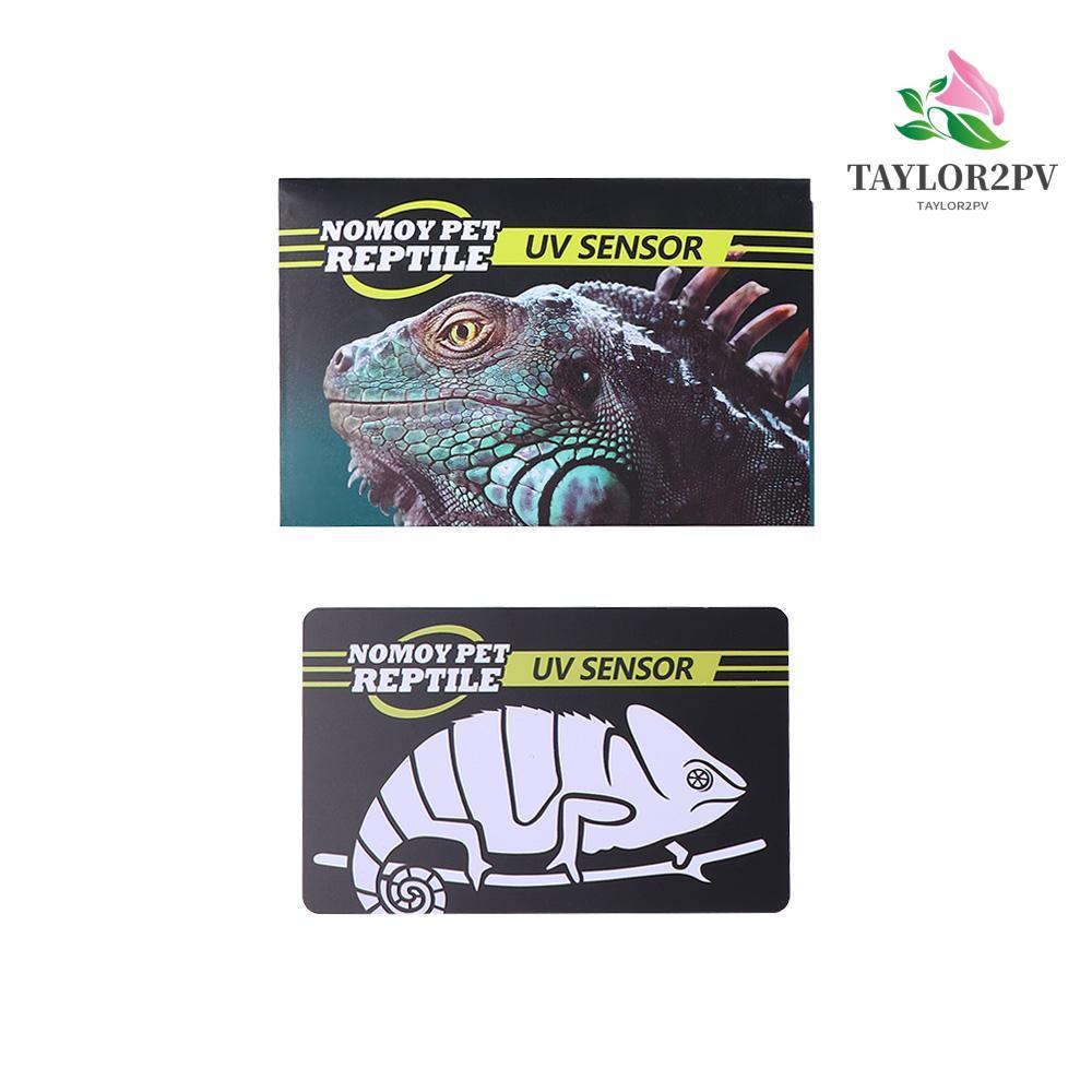 TAYLOR2PV UVB Test Card แบบพกพา 2023 Quick 10 วินาที PVC Lamp Life Tester Meter