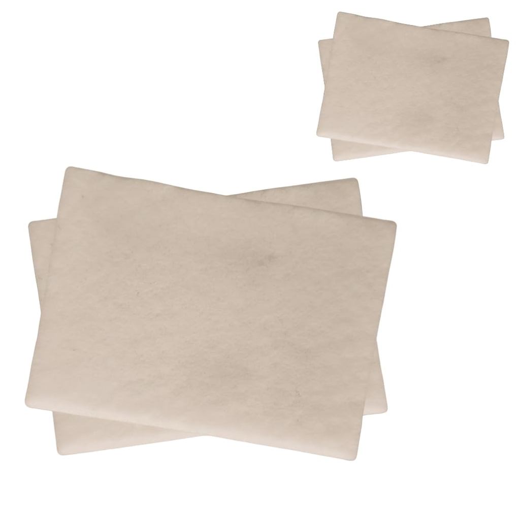 VacBagsUSA Replacement Vacuum Cleaner Filters, Pack of 2, for Panasonic MC-V191H AC37KAAEZ00 MCV191H