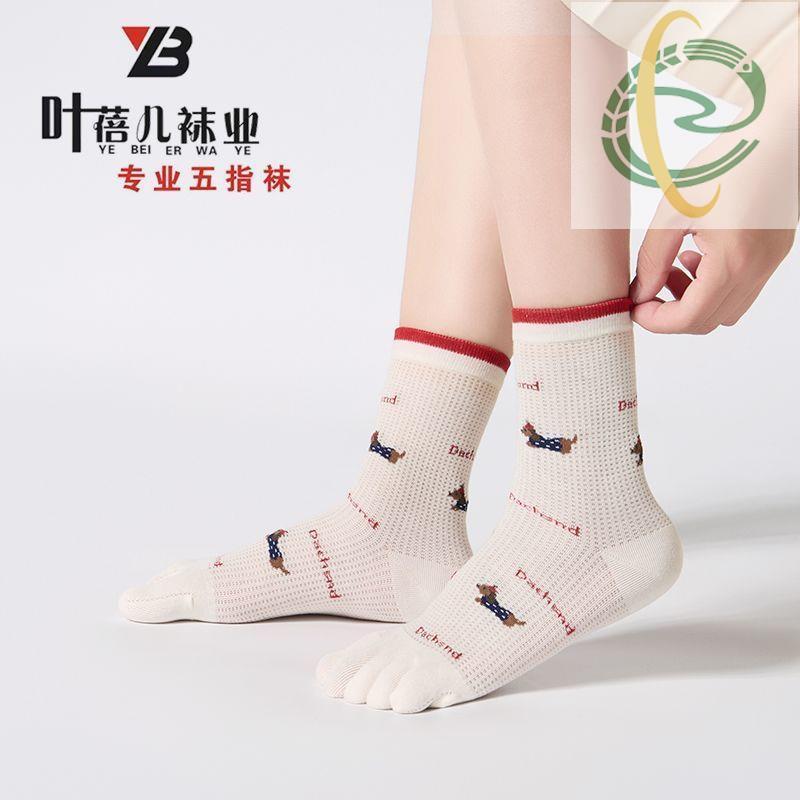 At5 Ye Belle Five-Toed Womens Socks - ตาข่ายผ้าฝ้ายหวีระบายอากาศ