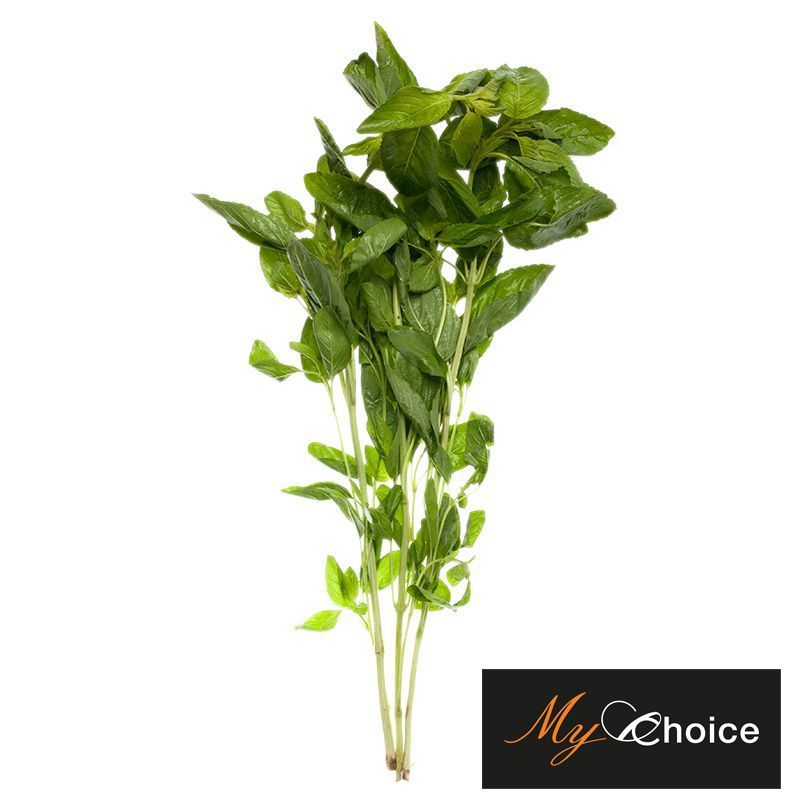 มายช้อยส์กระเพราออร์แกนิค 50กรัม My Choice Organic Holy Basil 50g.