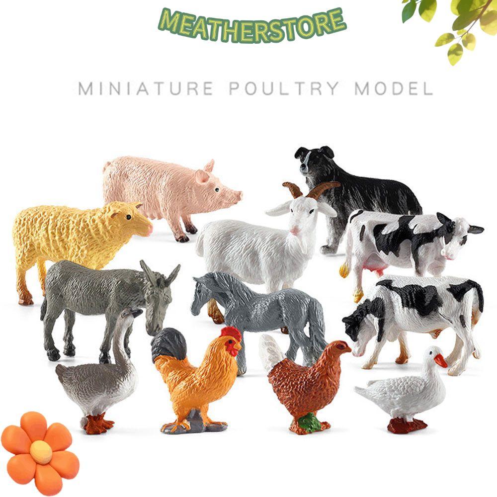 KEATHS Animal Model Miniatures Education สัตว์ปีกจําลอง