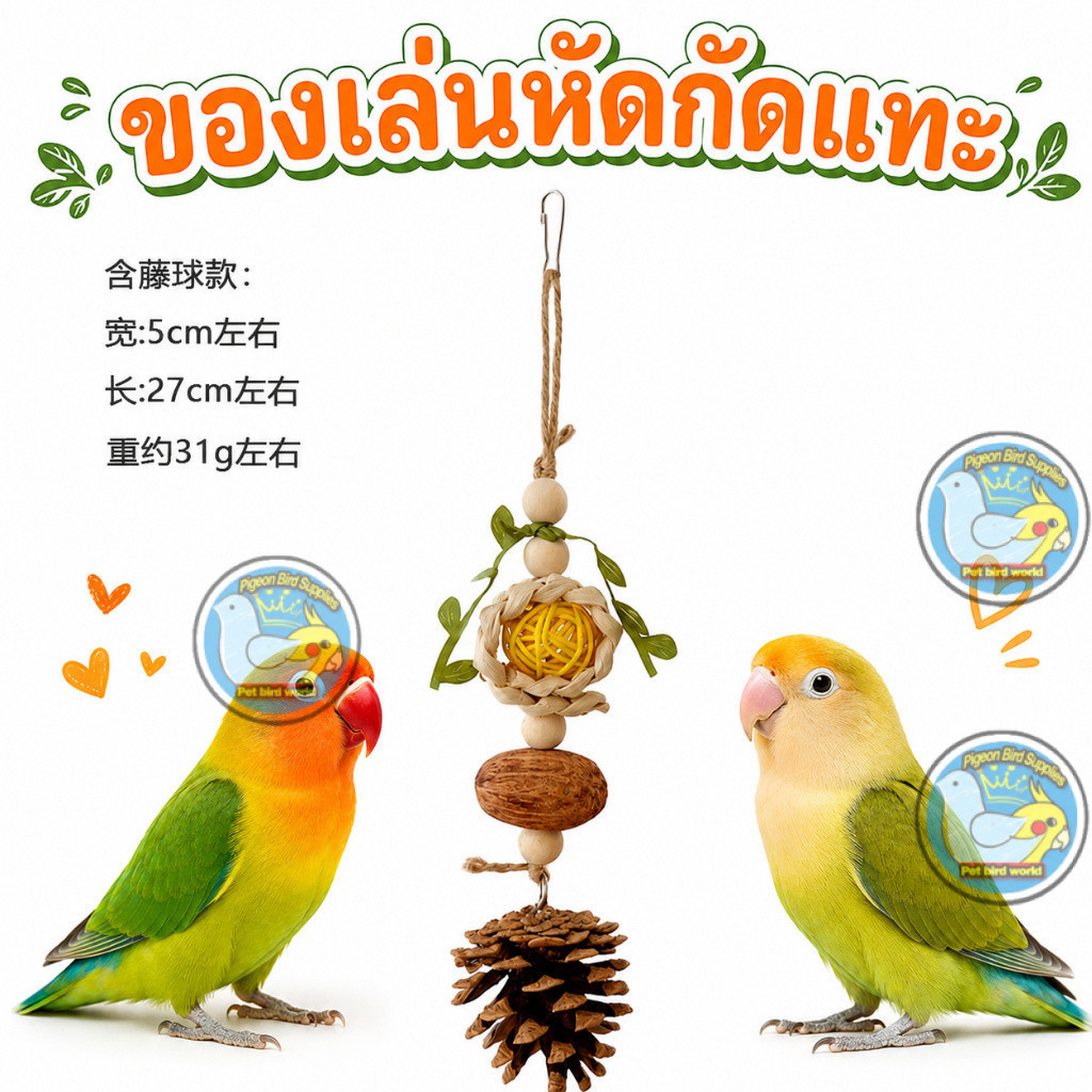 ของเล่นหัดกัดแทะสำหรับนกแก้ว วัสดุทำจากไม้และถั่วธรรมชาติ ลูกสน ของเล่นนกแก้ว ของเล่นนก