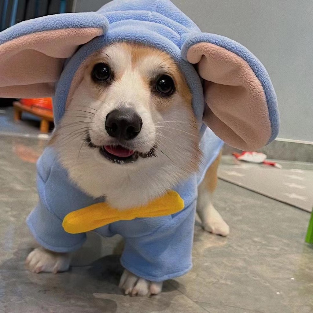 Corgi เสื้อผ้าฤดูใบไม้ร่วงฤดูหนาวหนาขนาดกลางขนาดเล็กสุนัข Bichon Schnauzer เสื้อกั๊ก Shiba Inu สุนัข