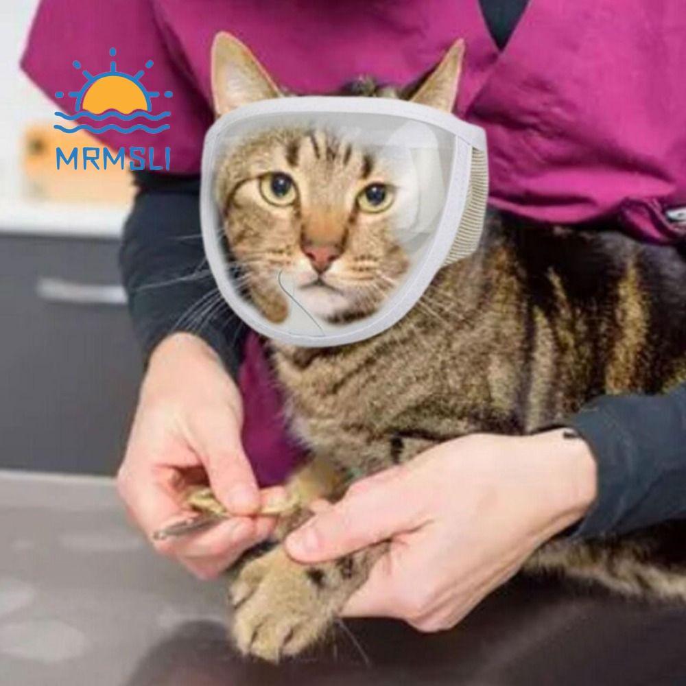 SHANCHAN Cat Muzzle Transparent Chewing Safety Anti Bite Mouth Guard