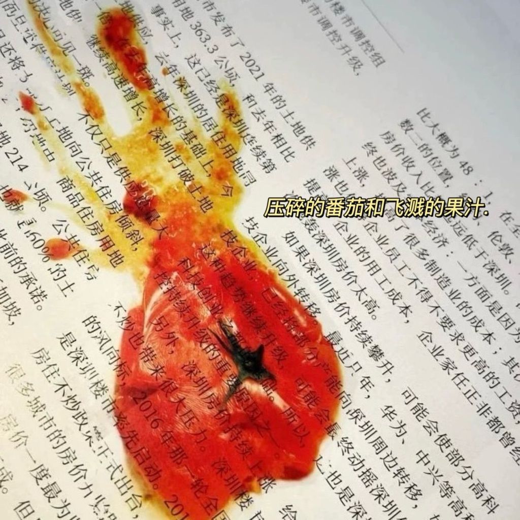 烂番茄西红柿书签亚克力可爱独特创意仿真学生阅读标记书签夹小众Rotten Tomatoes Bookmark Acrylic Cute Unique xianfeixiong6.my20251019