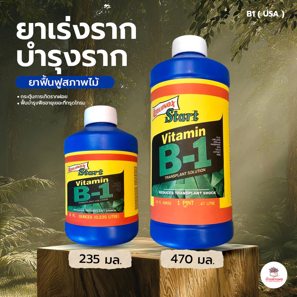B1 ( USA ) ยาเร่งราก บำรุงราก ยาฟื้นฟูสภาพไม้ ไม้อวบน้ำ กุหลาบหิน cactus&succulent