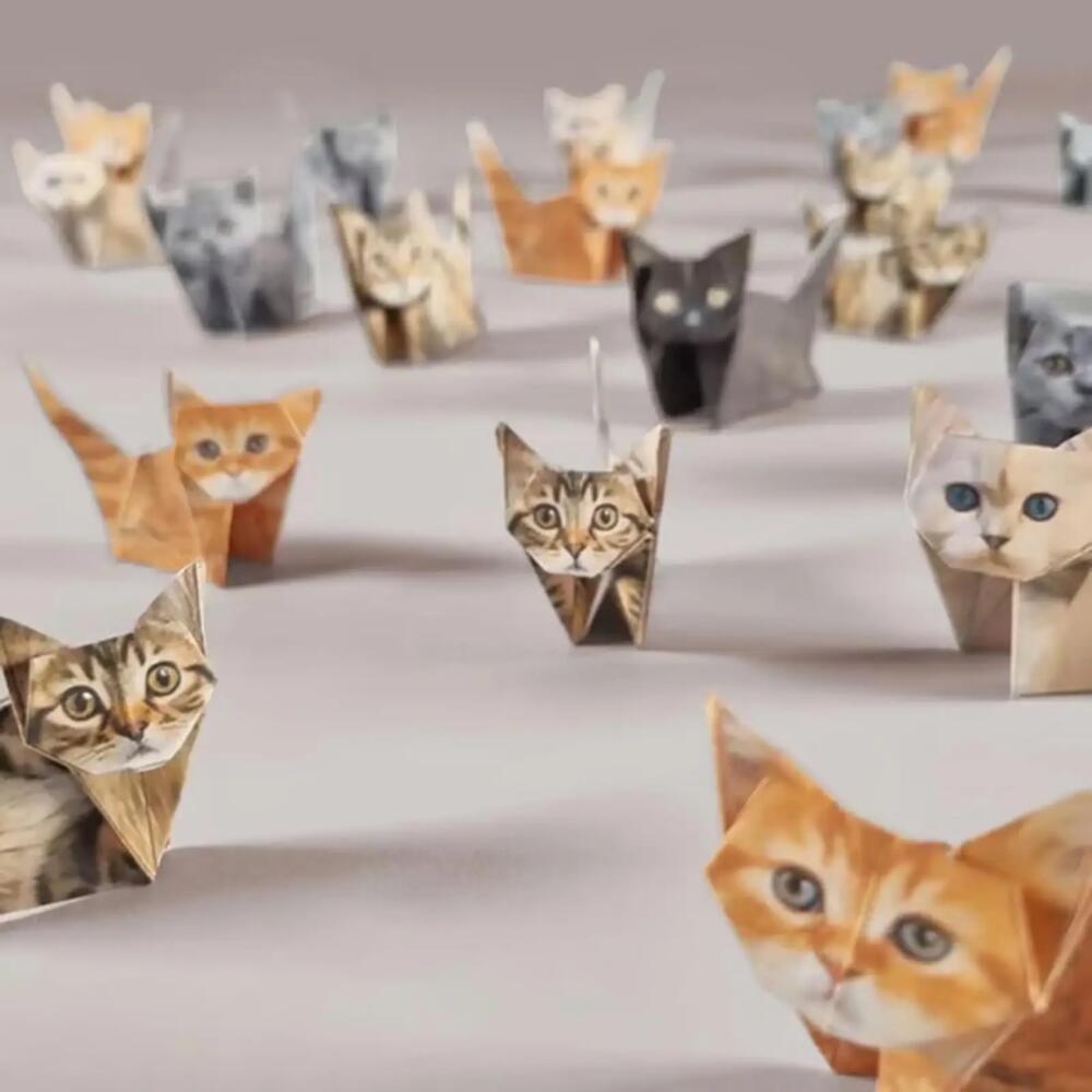 Creative DIY กระดาษสัตว์พับ Handmade DIY กระดาษแมวสุนัขไดโนเสาร์พับกระดาษชุดน่ารัก Origami Craft Kit สําหรับของขวัญเด็ก ราคา ถูกที่สุด ดีลบีเคเค แกลเลอรีภาพที่ 8