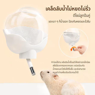 ขวดน้ำดอกไม้ ขวดน้ำติดกรงสำหรับสัตว์เลี้ยง เหมาะสำหรับแฮมสเตอร์ กระต่าย และสัตว์เล็ก