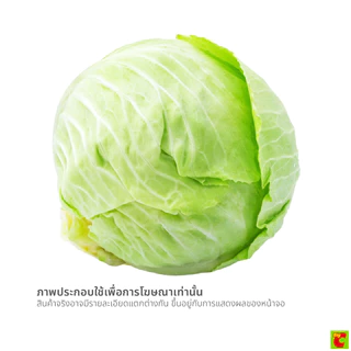 วี อาร์ เฟร็ช กะหล่ำปลี แพ็ค 400 ก.