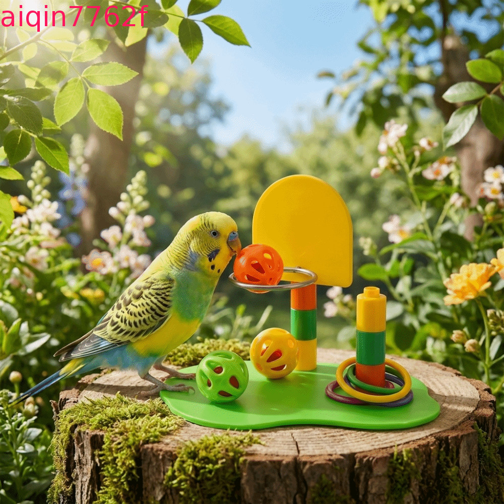 AIQINF ของเล่นฝึกนก, ห่วงปรับได้ปริศนานกแหวนสีสันสดใส, ของเล่นโต้ตอบชุดหลายชิ้นตลกของเล่นนกแก้วพลาสติกสําหรับนกแก้ว