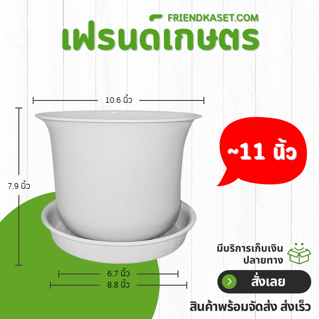 กระถาง กระถางต้นไม้ มินิมอล ถ้วยจีน จานรอง ขนาด 10 11 นิ้ว สีขาว ขั้นต่ำ 2 ใบ ชิ้น อัน