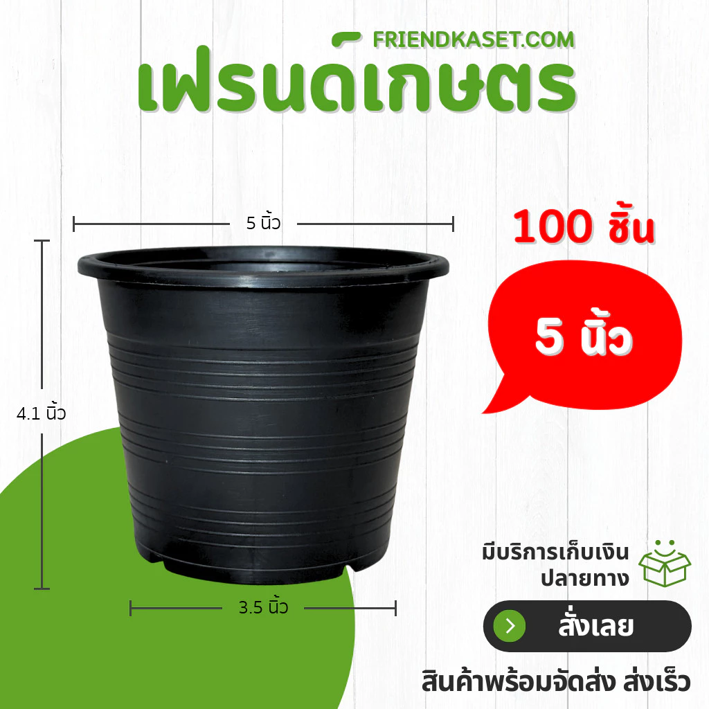 กระถาง กระถางต้นไม้ กระถางพลาสติก เบอร์ 5 นิ้ว สีดำ 100 ใบ ยกมัด