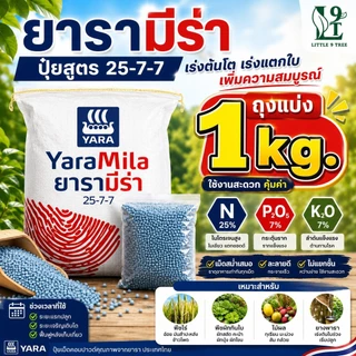 ปุ๋ย 25-7-7 ถุงแบ่ง 1 kg. ตราเรือใบ เร่งต้นโตไว แตกยอด แตกใบใหม่