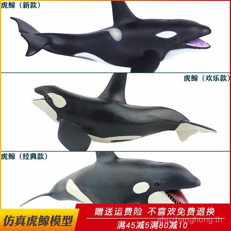 จําลอง Marine Life Killer Whale Model Whale Animal Gift