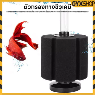กรองฟองน้ำ ตัวกรองตู้ปลา ตัวกรองฟองน้ำสำหรับตู้ปลา เพิ่มออกซิเจนในน้ำ กำจัดของเสียได้ดี อุปกรณ์ปลาสวยงาม