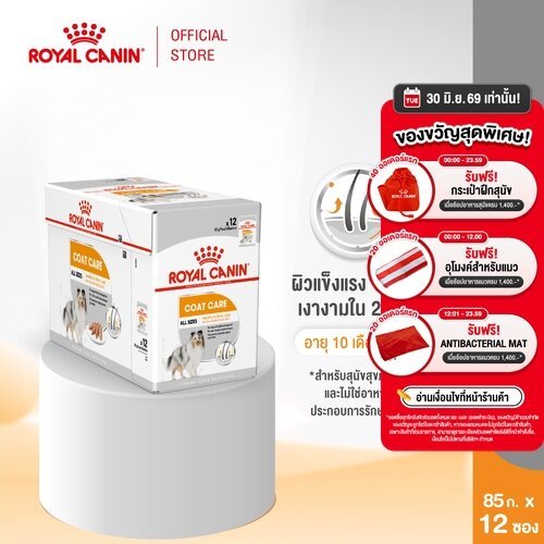 [12 ซอง] Royal Canin Coat Care Pouch Loaf อาหารเปียกสุนัขโตทุกขนาด บำรุงเส้นขน (โลฟ,Wet Dog Food,โรยัล คานิน)