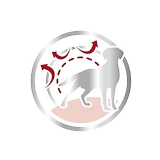 [PETClub] Royal Canin Medium Adult - สุนัขโต พันธุ์กลาง [4kg.]