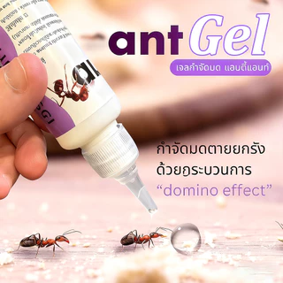 （ซื้อ 3 แถม 1）เจลกำจัดมด Ant Gel แอนติแอนท์ เหยื่อกำจัดมด เจลล่อมด หยดเดียวตายยกรัง 20g/30g {Aati Ant}