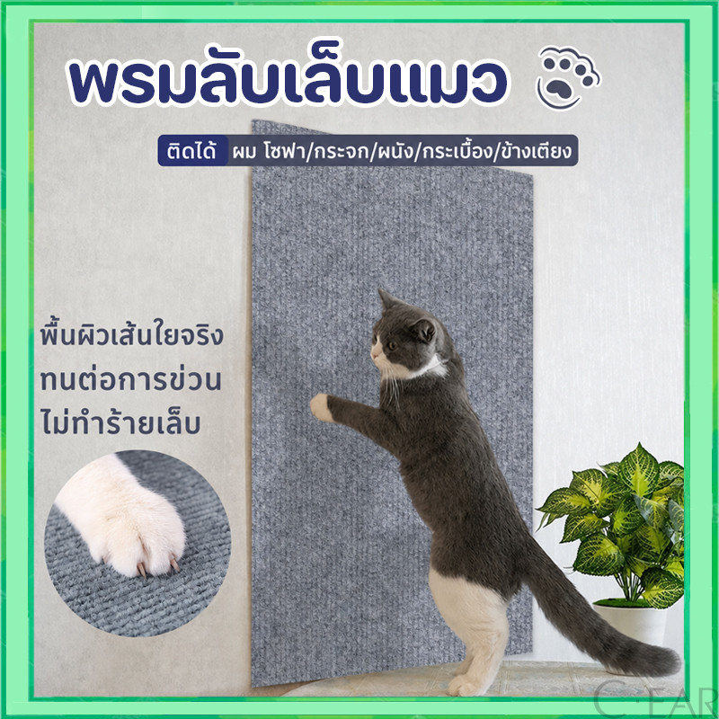 ที่ฝนเล็บ มีกาวในตัว กันรอยข่วนได้ดี แผ่นแมวปีน ที่ลับเล็บแมว แผ่นกันข่วน ที่กันแมวข่วน ถนอมโซฟา