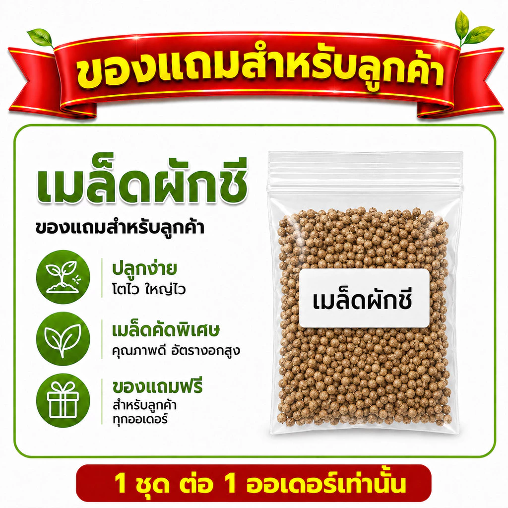 🎁ของแถมสำหรับลูกค้าที่สั่ง น้ำส้มควันไม้ทอง เมล็ดผัก 🎁