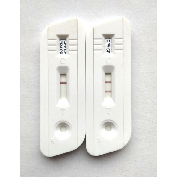 Ward สัตว์เลี้ยงสุนัขขนาดเล็ก CPV สุนัข Corona CCV โรคระบาดสุนัข CDV กระดาษทดสอบการ์ดทดสอบสามในหนึ่ง