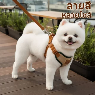Meilovmao สายจูงสุนัข พร้อมเสื้อรัดอกแมว สายจูงสัตว์เลี้ยง ผ้าไมโครไฟเบอร์ ระบายอากาศ หลายสี หลายไซส์