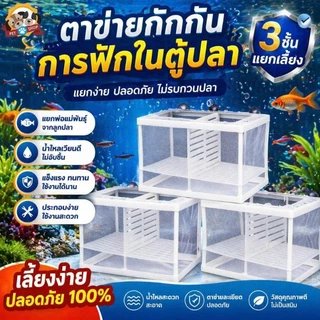กล่องตะข่ายแยกปลาลูกปลาขนาน เพาะพันธุ์ปลา กล่องฟักไข่ แยกได้ 2 ช่อง แบบตาข่าย