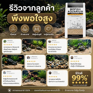 🐟ทรายตกแต่งตู้ปลา ทรายใส่ตู้ปลา ทรายแดง ได้จากธรรมชาติ ใช้งานง่าย สะอาด ไม่ขุ่นน้ำ หลายสีให้เลือก ปลอดภัย สวยงาม 2.5KG