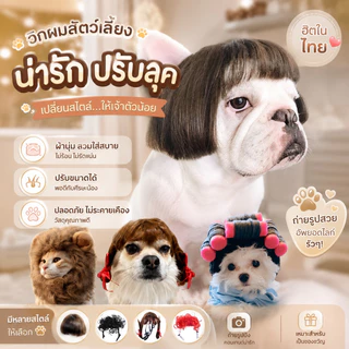🐶COD😻 ผมปลอม วิกผมสังเคราะห์สําหรับสัตว์เลี้ยงสุนัขแมว สัตว์เลี้ยง แมว หมา