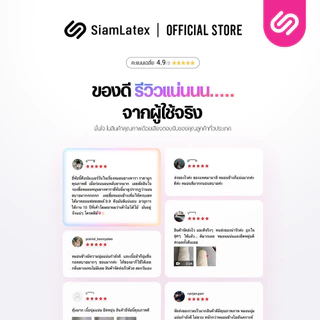 SiamLatex Micro Bolster หมอนข้างยางพารา เนื้อแน่น เด้ง ยางปั่นอัดแน่นพิเศษ อายุการใช้งาน 10 ปี
